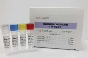 弯曲菌多重PCR检测试剂盒1.jpg