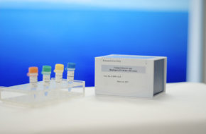 弯曲菌多重PCR检测试剂盒3.jpg
